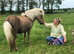 Rideable Falabella Mare with filly foal on foot