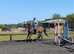 Stunning big bay gelding 15.3hh