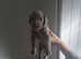 Weimaraner puppies for sale