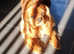 Gorgeous Male Cavapoo