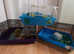 3 Hamster Cages