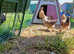 Silkie x Pekin - Breeding Quad