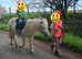 Child's dream 1st Pony