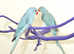 Baby Blue Ring Neck Talking Parrots,18