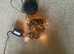Christmas lights - or other occasions, B and Q, multi function