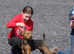Lakeland terrier, male