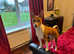 Basenji girl