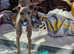 Kc reg Italian greyhound female