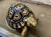 Leopard Tortoise Hatchlings