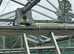Commercial & Domestic glasshouse maintenance