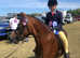 Trehwfa Roulette - Welsh Section A Gelding