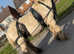 Ride & drive cob gelding Billy