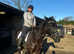 Tb gelding