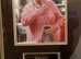Mrs browns boys signed picture