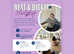 Inclusive yoga class in New Eltham