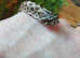 Hognose Snake and Set Up