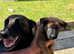 Lovely strong boys  all reserved