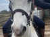12.3 first ridden mothers dream