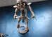 Alien vs predator metel figures