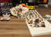 Pedigree Cavalier King Charles Puppies.