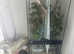 Exo terra tank with stick insects