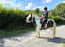 Smart, quality, traditional cob