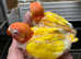 Lutino Opaline