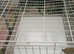 XXL dog crate steel cream colour two doors £60