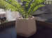FAUX plant with heavy planter