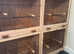 Breeding cages brand new