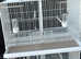 Double Italian GR2 breeding cages