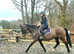 Stunning happy hacking fun ride allrounder