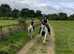 13.1hh coloured cob
