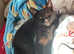 Domestic black kitten