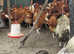 Offer on 10hen