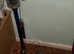 Dyson cordless V 11 Absolute vacuum Cleaner