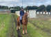 Breaking& schooling livery/ rider/ trainer in Manchester