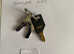 Beaver Vending machine S30 key rb16 Northern Sweet toy capsule