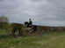 FORWARD FUN PRETTY MARE