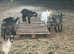 5 nanny Pygmy goats 1 weather for sale