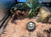 Juvenile/Sub-Adult Leopard Gecko with Complete set-up (large Terrarium & feeding equipment) - Negotiable Price