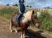 Lead rein pony looking for sharers