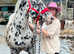 Stunning Appaloosa Stallion