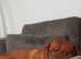 Dogue de Bordeaux pair