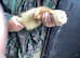 Very friendly Big sandy hob ferret ,