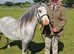 11.2 Welsh Section A Gelding