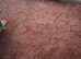 NEW TOP QUALITY CARPET REMNANT