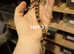 Baby boas