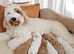 MULTIGENERATION AUSTRALIAN LABRADOODLES
