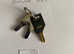 Beaver Vending machine S30 key rb16 Northern Sweet toy capsule